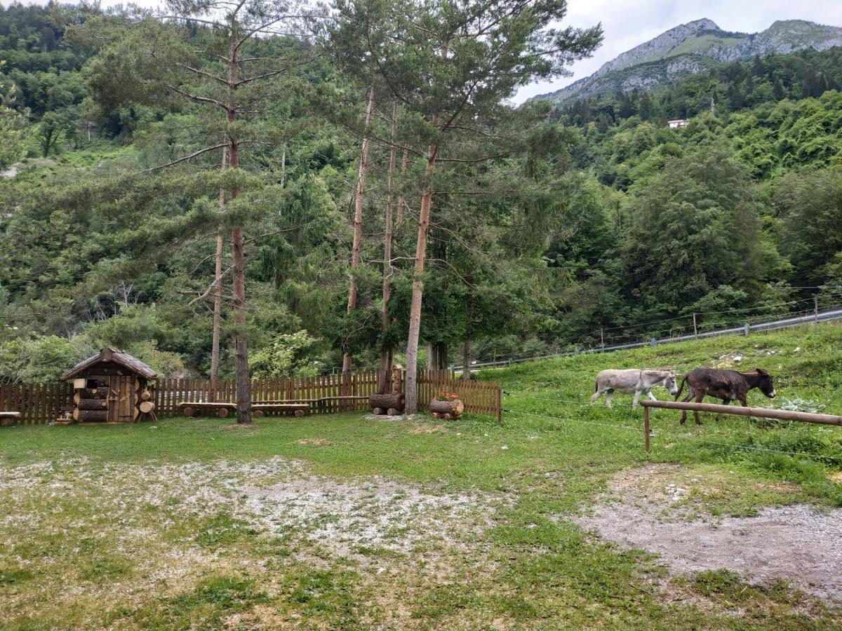 أرتا تيرمي B&B L'Asinello Rampante المظهر الخارجي الصورة