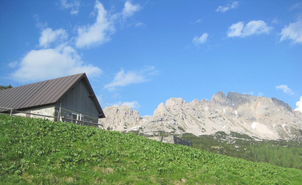 أرتا تيرمي B&B L'Asinello Rampante المظهر الخارجي الصورة